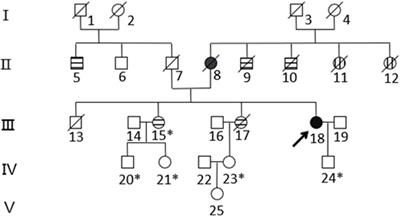 A new subtype of Lynch syndrome associated with MSH2 c.354T>A (p. Y118*) identified in a Chinese family: case report and literature review